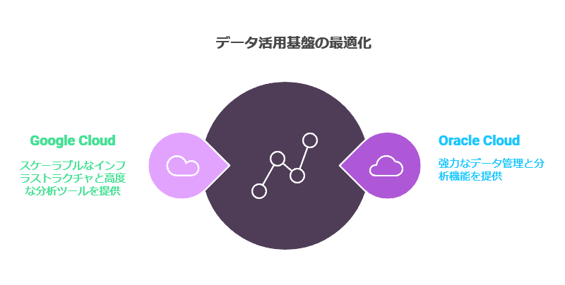 データ活用基盤の最適化