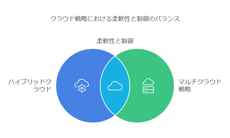 クラウド戦略における柔軟性と制御のバランス