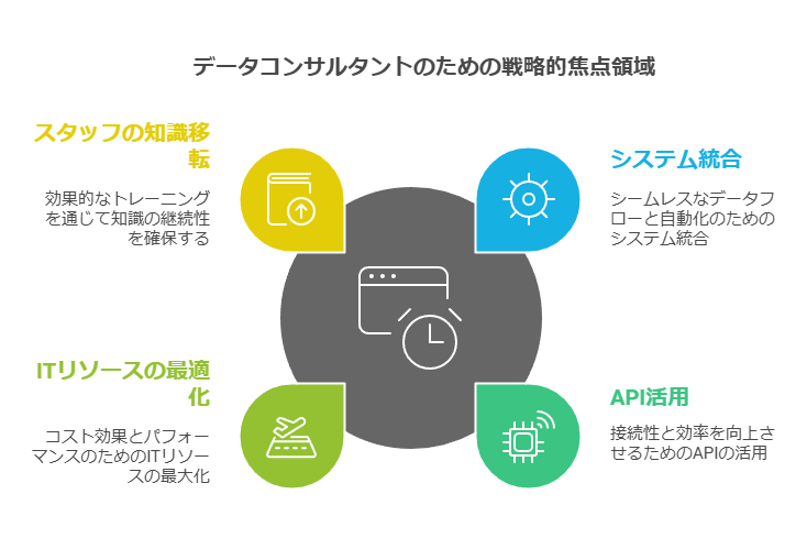 データコンサルタントのための戦略的笑点領域　システム統合　API活用　ITリソースの最適化　スタッフ 知識移転